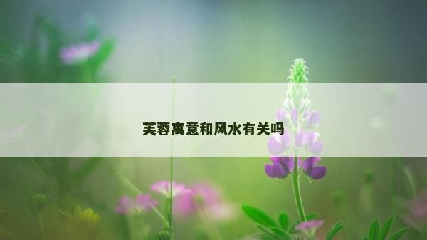 芙蓉寓意和風水有關嗎