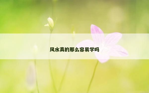 風(fēng)水真的那么容易學(xué)嗎