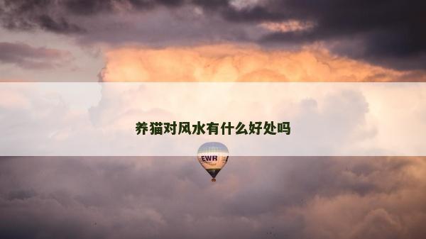 養(yǎng)貓對風水有什么好處嗎
