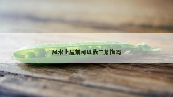風水上屋前可以栽三角梅嗎