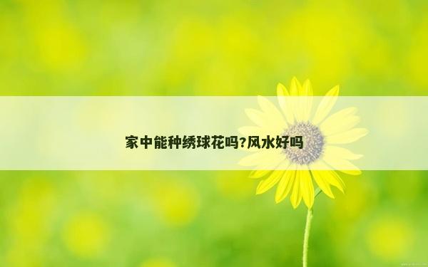 家中能種繡球花嗎?風(fēng)水好嗎