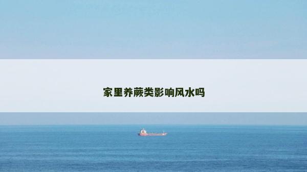 家里養(yǎng)蕨類影響風水嗎