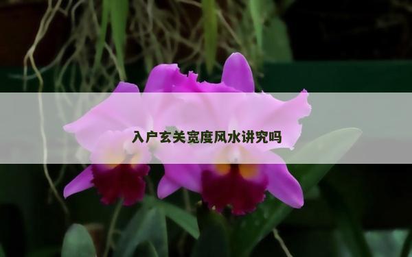 入戶玄關(guān)寬度風(fēng)水講究嗎 入戶玄關(guān)寬度風(fēng)水講究嗎