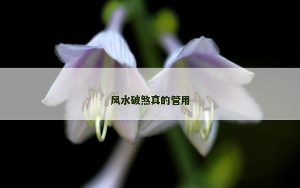 風水破煞真的管用