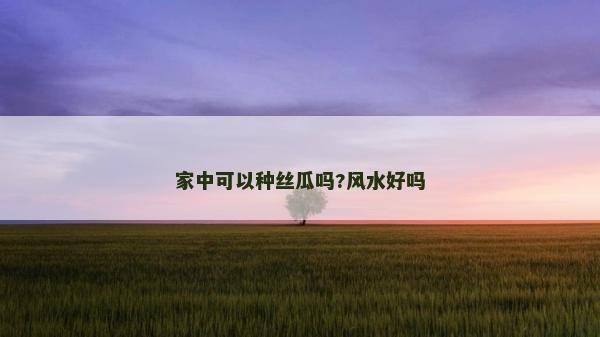 家中可以種絲瓜嗎?風(fēng)水好嗎
