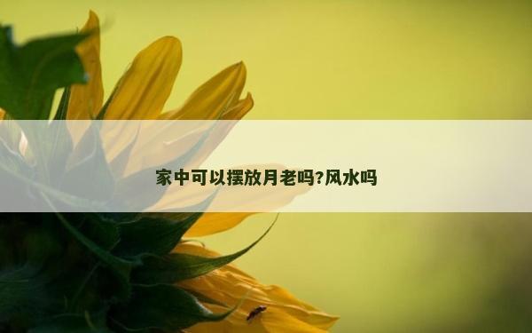 家中可以擺放月老嗎?風水嗎