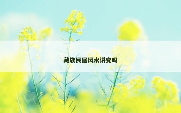 藏族民居風水講究嗎