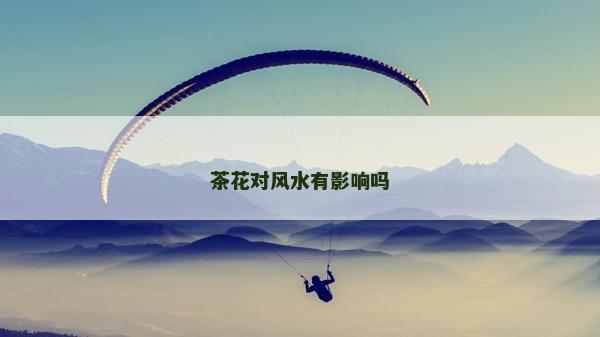 茶花對風(fēng)水有影響嗎