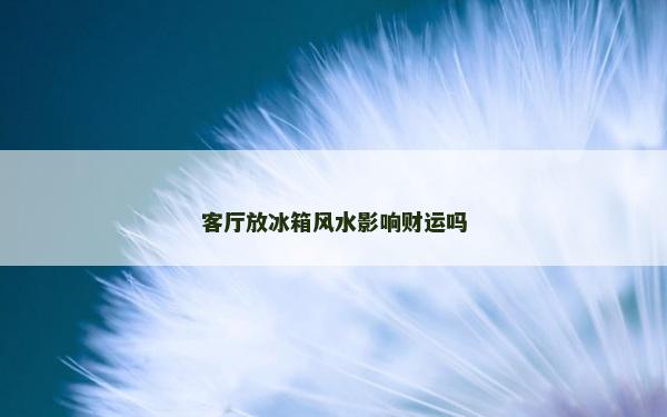 客廳放冰箱風水影響財運嗎
