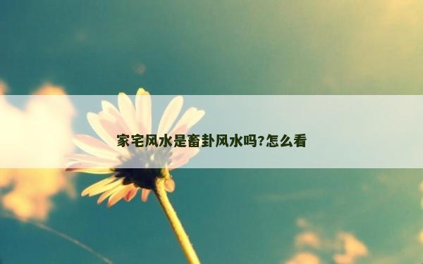 家宅風水是畜卦風水嗎?怎么看 家宅風水是畜卦風水嗎?怎么看