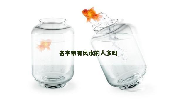 名字帶有風水的人多嗎