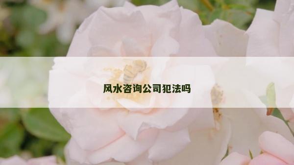 風水咨詢公司犯法嗎