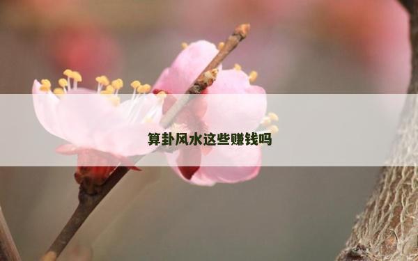 算卦風水這些賺錢嗎