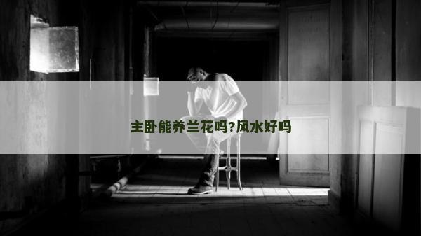 主臥能養蘭花嗎?風水好嗎