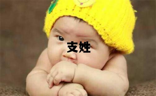 支姓取名獨特優美的男寶寶名字