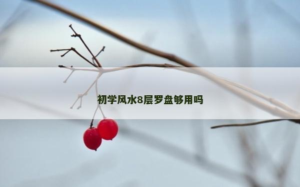 初學風水8層羅盤夠用嗎 初學風水8層羅盤夠用嗎