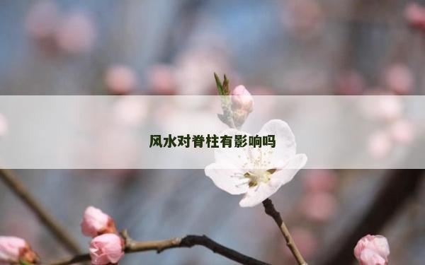 風(fēng)水對脊柱有影響嗎 風(fēng)水對脊柱有影響嗎