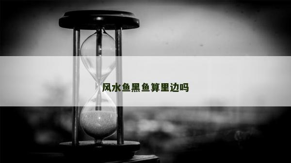 風(fēng)水魚黑魚算里邊嗎