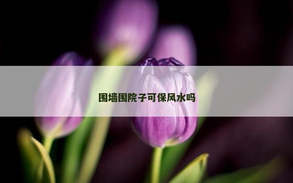 圍墻圍院子可保風水嗎