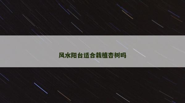 風水陽臺適合栽植杏樹嗎