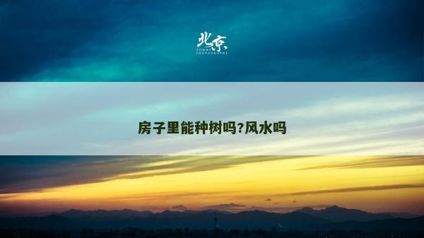房子里能種樹(shù)嗎?風(fēng)水嗎