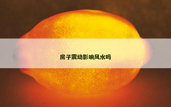 房子震動影響風水嗎