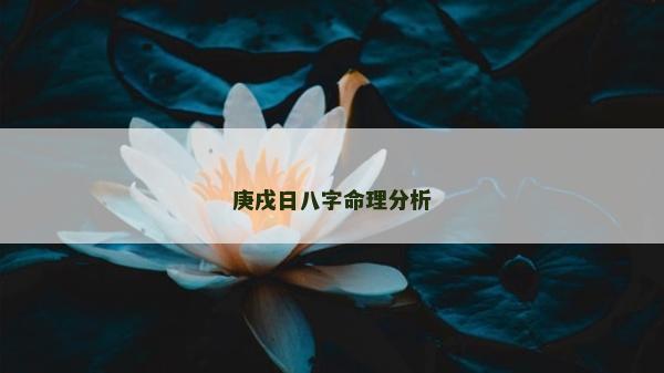 庚戌日八字命理分析