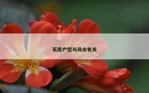 買房戶型與風(fēng)水有關(guān)