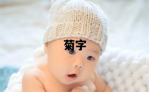 菊字五行屬什么 菊字取名寓意女孩