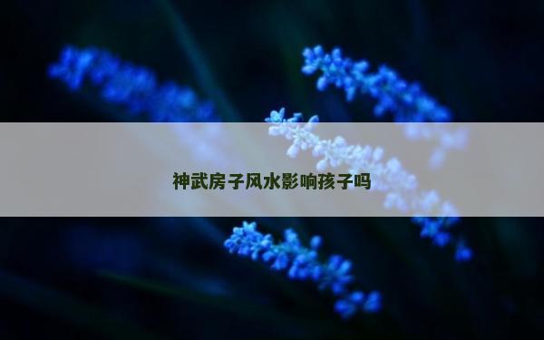 神武房子風水影響孩子嗎 神武房子風水影響孩子嗎