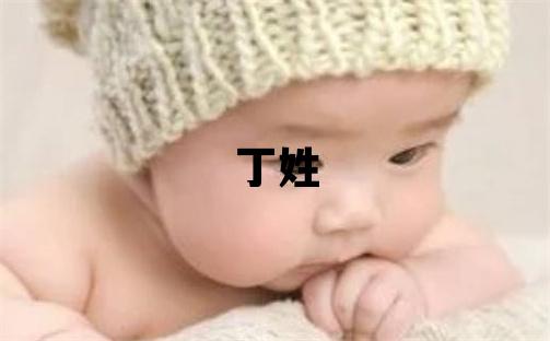 丁姓取名朗朗上口的男寶寶名字