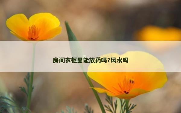 房間衣柜里能放藥嗎?風水嗎
