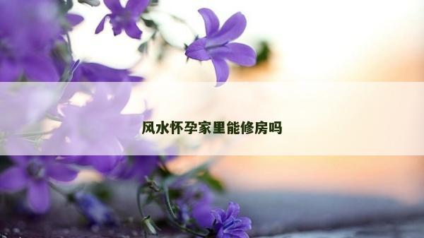 風水懷孕家里能修房嗎