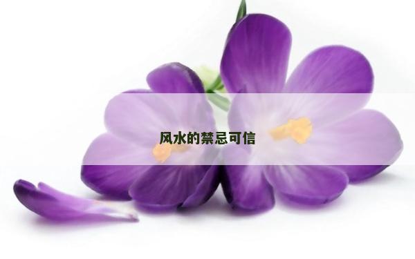風(fēng)水的禁忌可信 風(fēng)水的禁忌可信