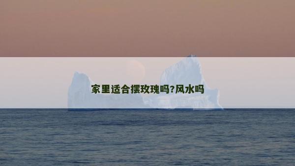 家里適合擺玫瑰嗎?風水嗎