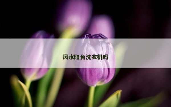 風水陽臺洗衣機嗎