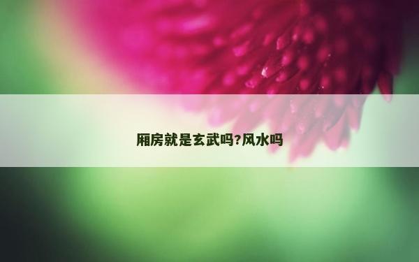 廂房就是玄武嗎?風(fēng)水嗎