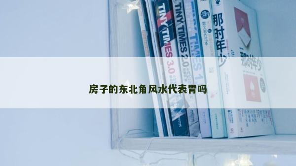 房子的東北角風(fēng)水代表胃嗎