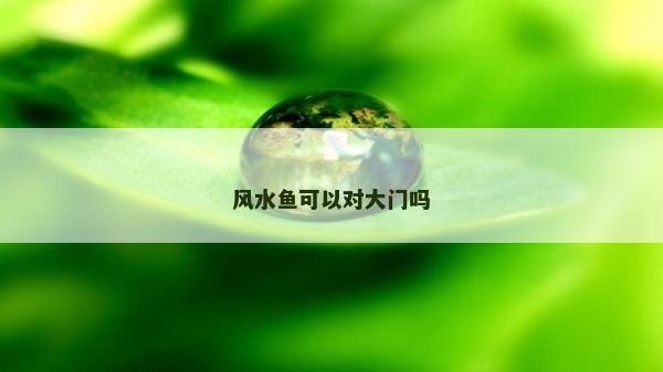 風水魚可以對大門嗎