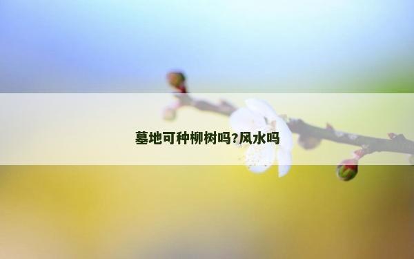 墓地可種柳樹嗎?風水嗎