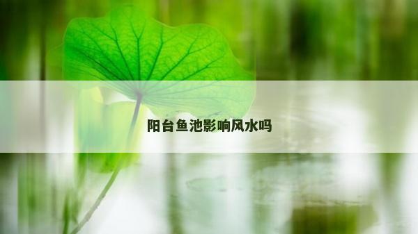陽臺魚池影響風水嗎