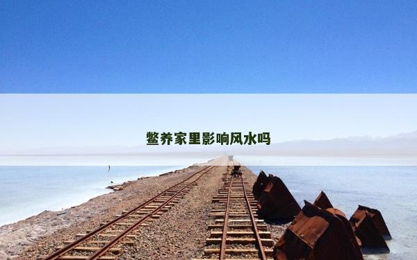 鱉養(yǎng)家里影響風(fēng)水嗎