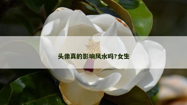 頭像真的影響風水嗎?女生 頭像真的影響風水嗎?女生
