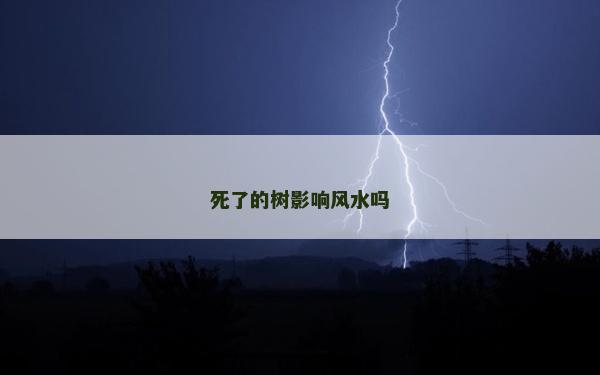 死了的樹影響風水嗎
