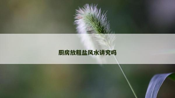 廚房放粗鹽風水講究嗎