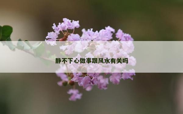靜不下心做事跟風(fēng)水有關(guān)嗎