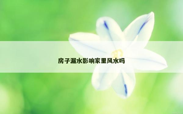 房子漏水影響家里風水嗎 房子漏水影響家里風水嗎