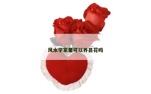 風(fēng)水學(xué)家里可以養(yǎng)曇花嗎