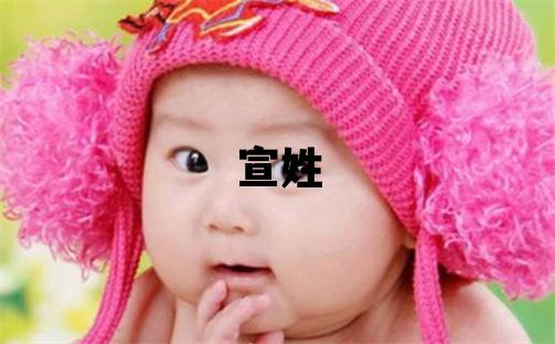 宣姓有涵養的女寶寶名字