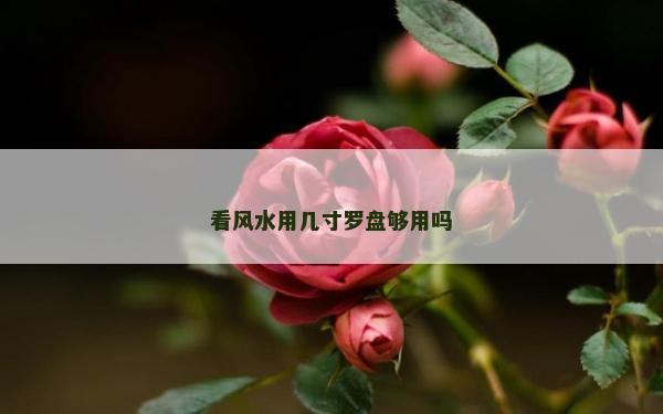看風水用幾寸羅盤夠用嗎